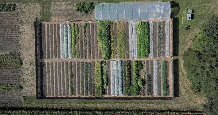 Luftaufnahmen eines Gemüseanbaus mit vielen verschiedenen Pflanzenreihen und einem Gewächshaus.