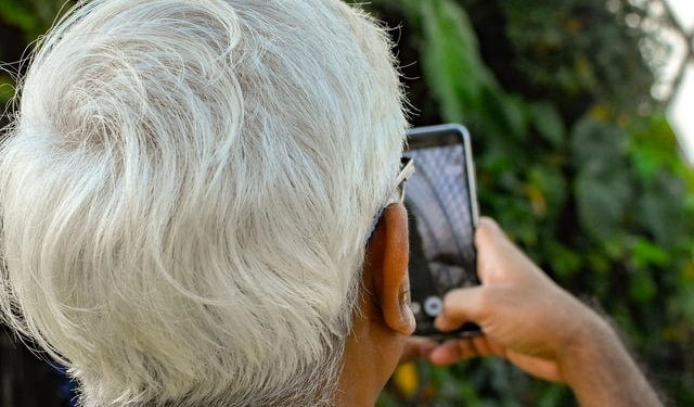 Eine Person mit Grauen Haaren ist von hinten zu sehen und hält ein Smartphone in der Hand.