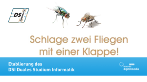 Zwei Fliegen, darunter der Schriftzug „Schlage zwei Fliegen mit einer Klappe“. Auf einem blauen Band steht: Etablierung des DSI Duales Studium Informatik.